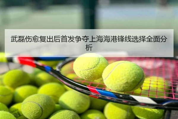 武磊伤愈复出后首发争夺上海海港锋线选择全面分析